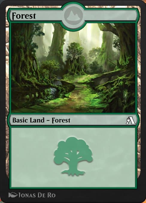 Forest (Common)