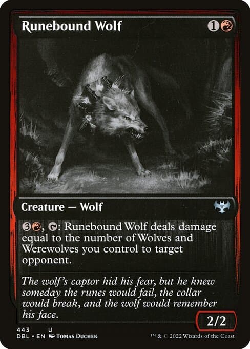 Runebound Wolf from Innistrad: Double Feature (Uncommon)
