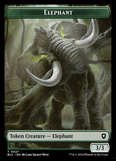 Elephant (Common)