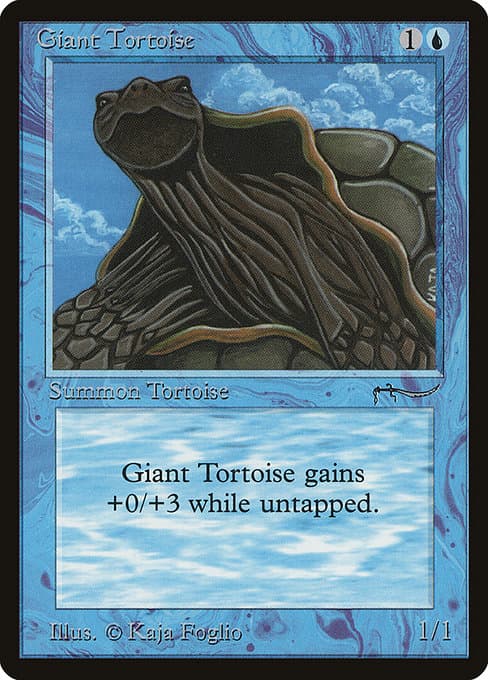 Giant Tortoise (Common)