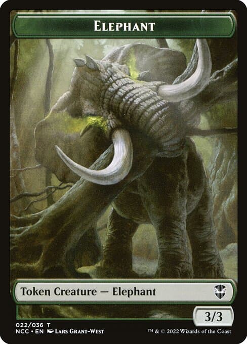Elephant (Common)