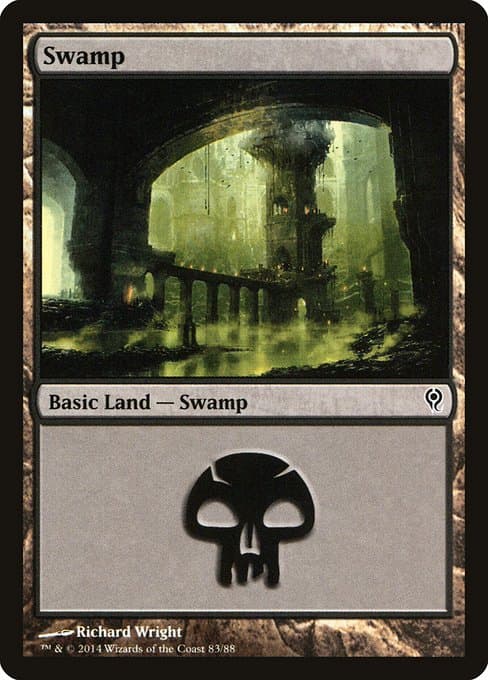 Swamp (Common)