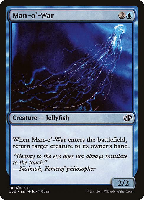 Man-o'-War (Common)