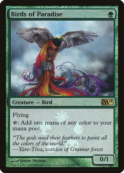 Birds of Paradise (Rare)