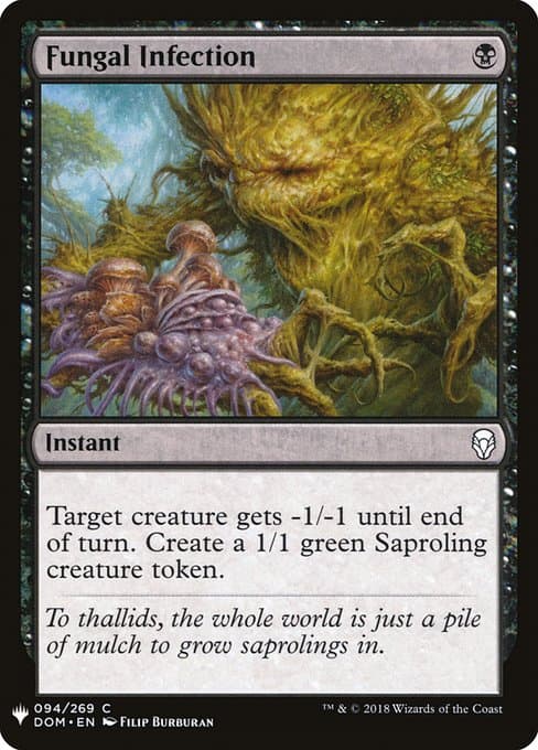 Fungal Infection from The List (Common)