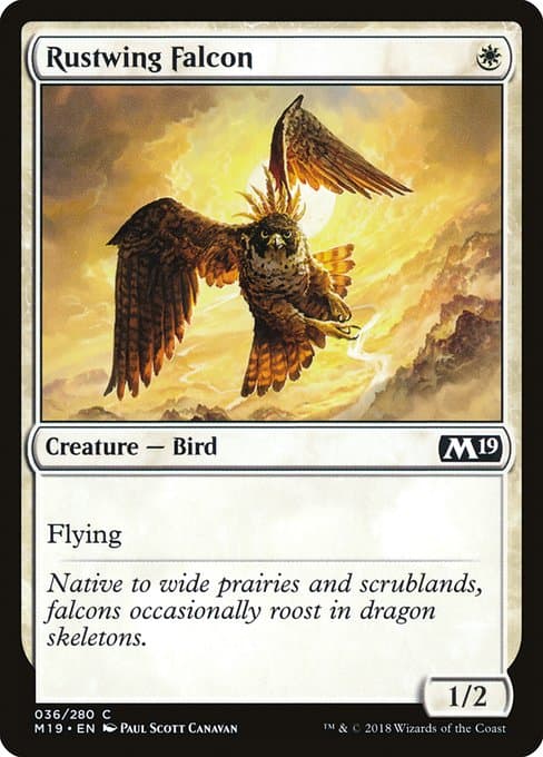 Rustwing Falcon (Common)