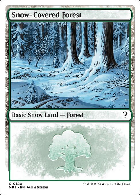 Snow-Covered Forest (Common)