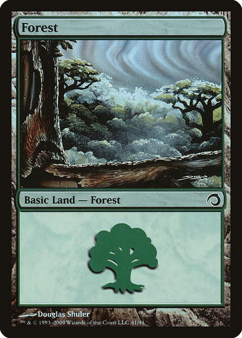 Forest (Common)