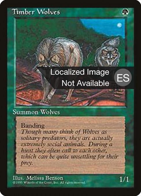 Timber Wolves from Fourth Edition Foreign Black Border (Rare)