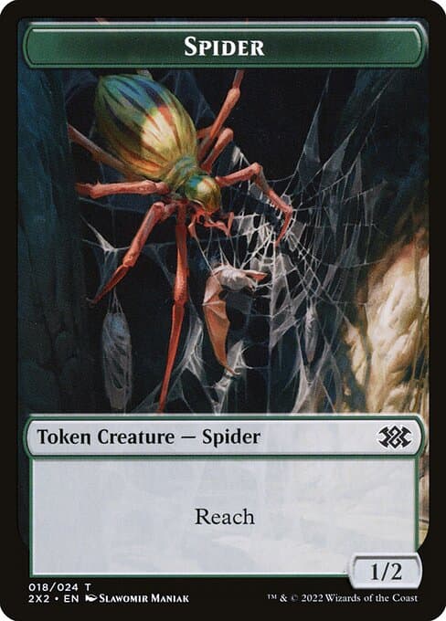 Spider (Common)
