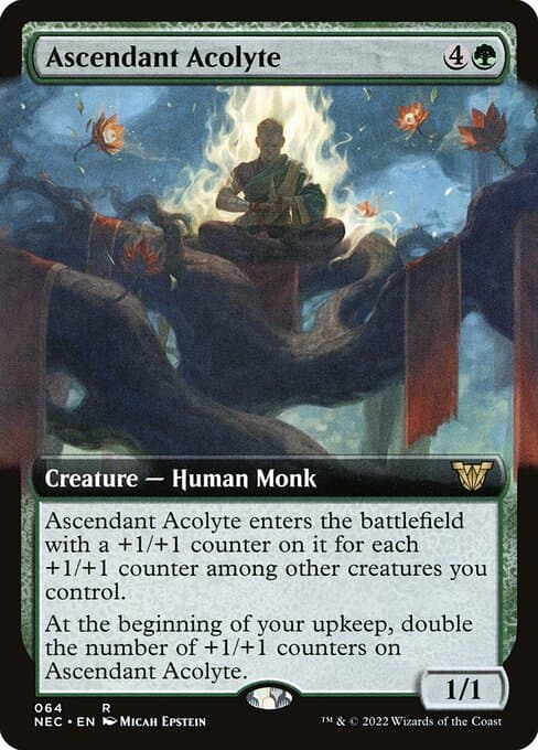 Ascendant Acolyte from Neon Dynasty Commander (Rare)