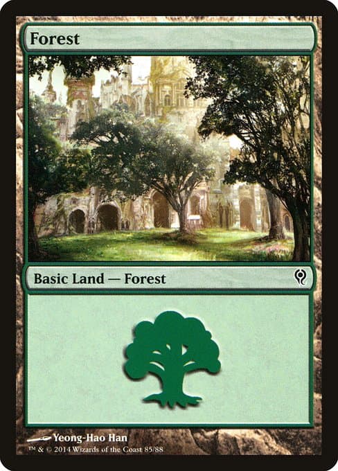 Forest (Common)