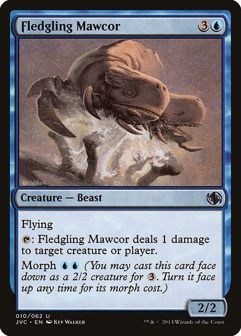 Fledgling Mawcor (Uncommon)