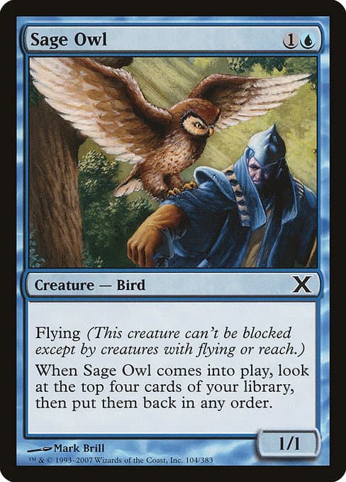 Sage Owl from Tenth Edition (Common)