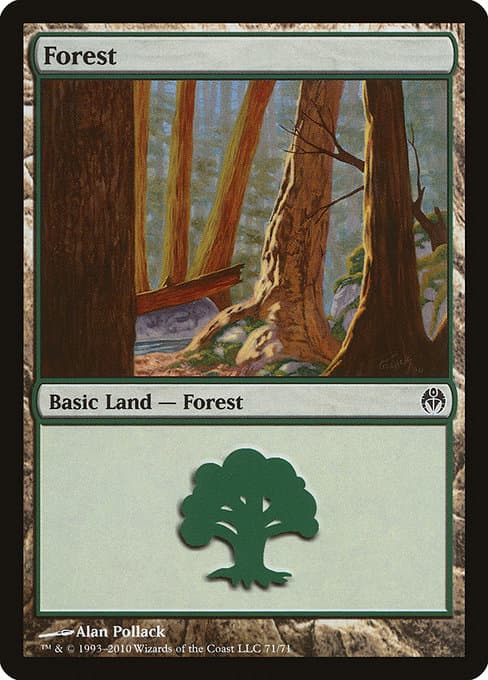 Forest (Common)