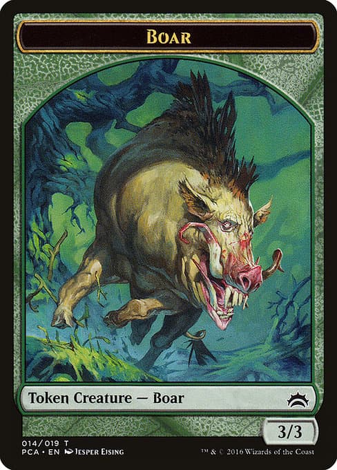 Boar (Common)