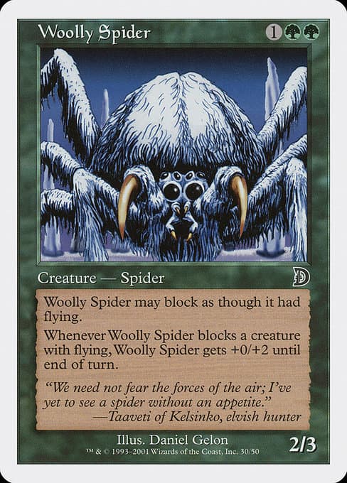 Woolly Spider (Common)