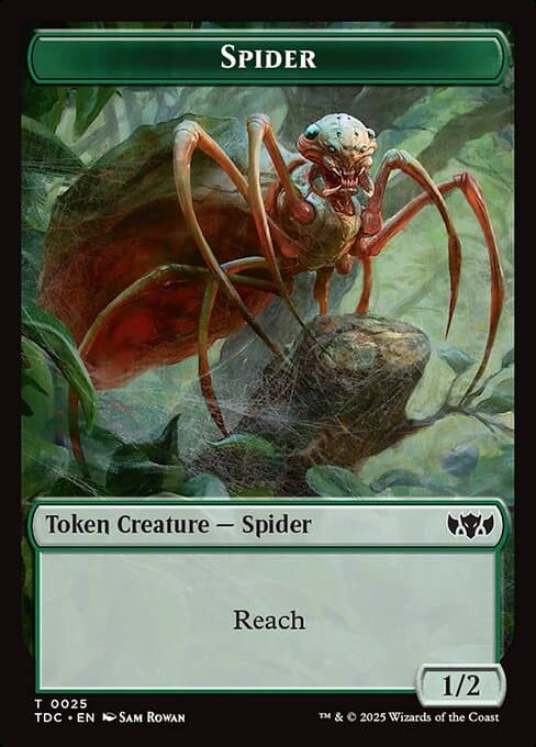 Spider (Common)