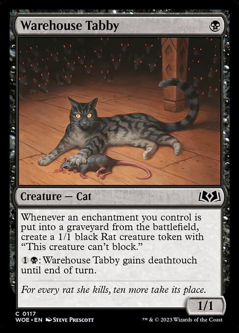 Warehouse Tabby (Common)