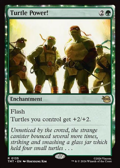 Turtle Power! (Rare)